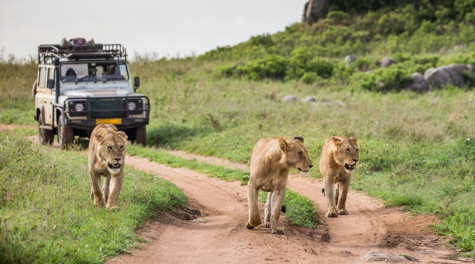 10 luxury resorts in jim corbett